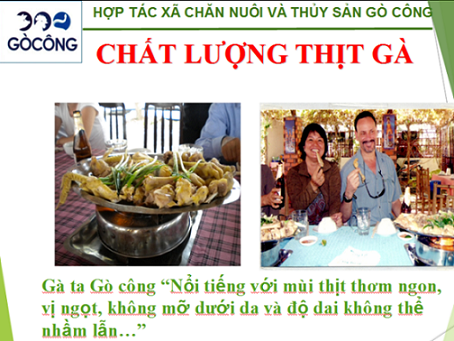 CHẤT LƯỢNG SẢN PHẨM